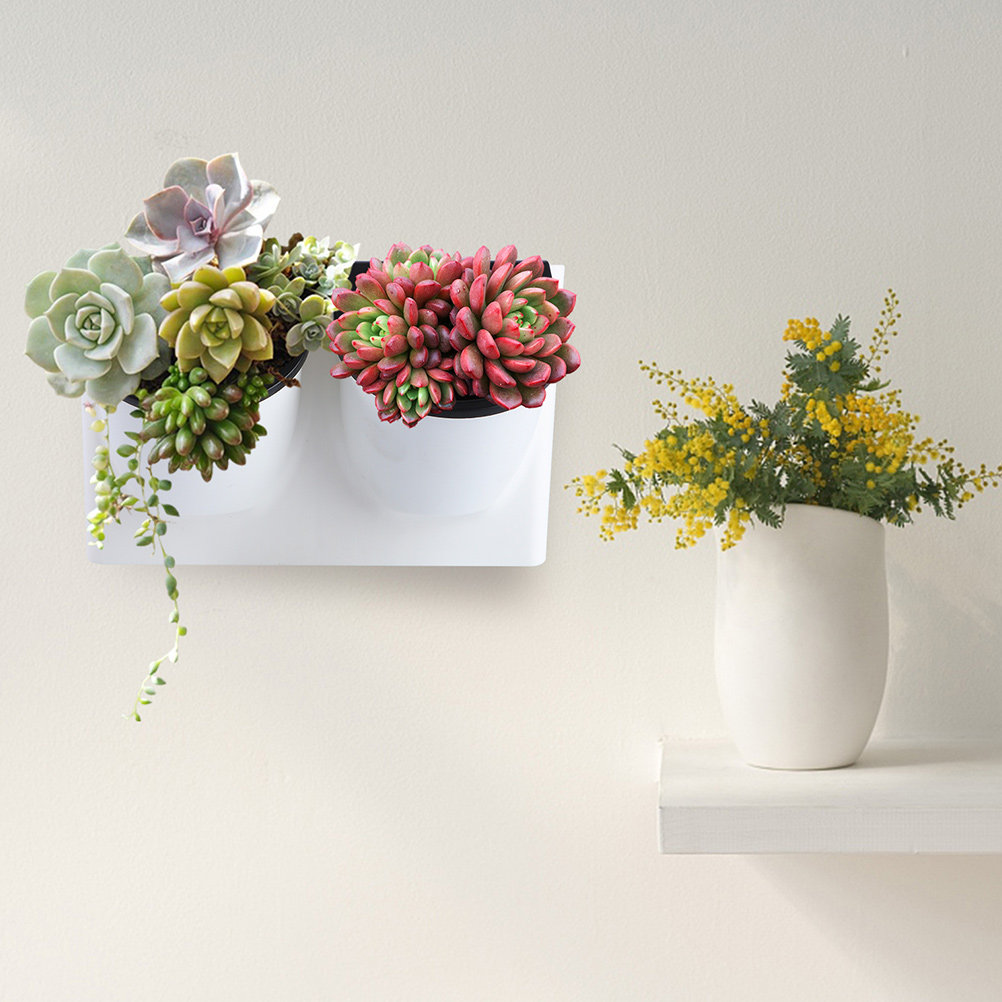 Succulent Planter Pot - กระถางดอกไม้รดน้ำอัตโนมัติ ทำจากพลาสติก สีม่วง สำหรับตกแต่งภายในและภายนอกอาคาร เหมาะสำหรับปลูกไม้อวบน้ำและบอนไซ