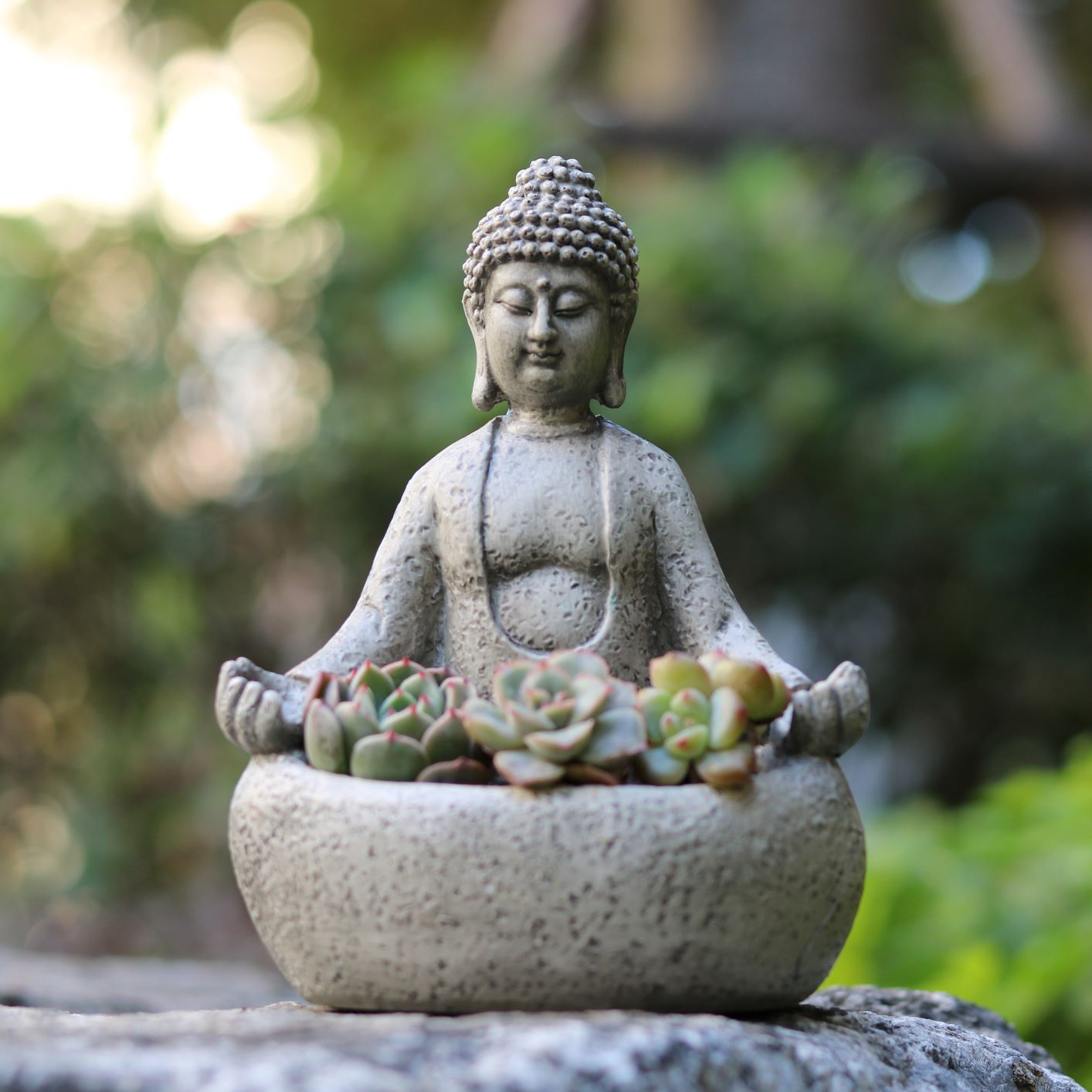 Succulent Planter Pot - กระถางต้นไม้รูปพระพุทธรูปสำหรับปลูกไม้อวบน้ำ กระถางเรซิ่นพระพุทธรูปเซน สำหรับตกแต่งสวนในบ้านบนโต๊ะทำงาน