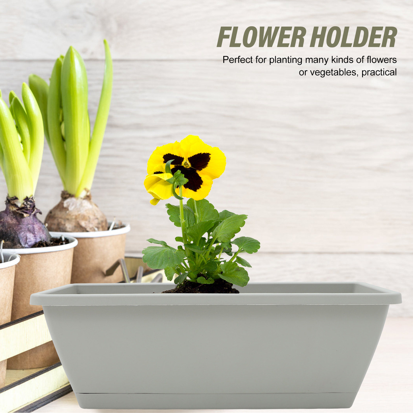 กระถางปลูกต้นไม้แบบติดหน้าต่าง - Succulent Planter Pot บทวิจารณ์และราคา