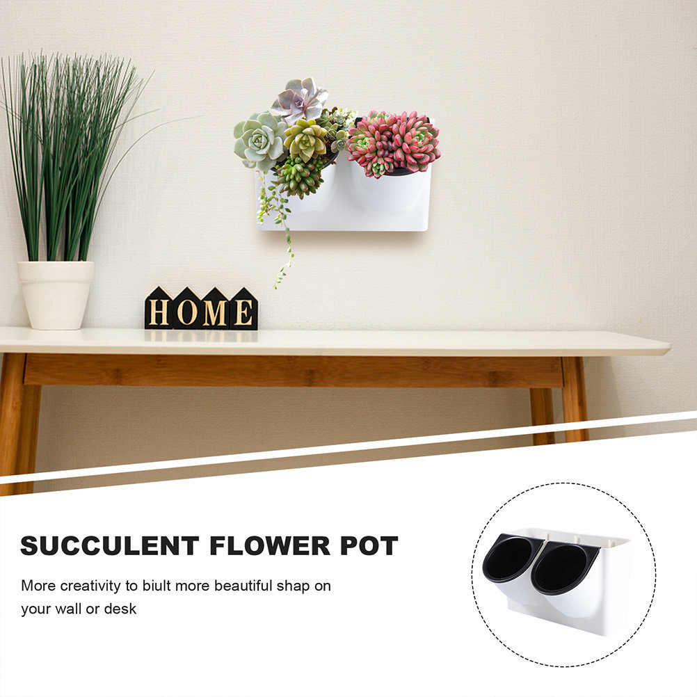 กระถางดอกไม้รดน้ำอัตโนมัติ ทำจ - Succulent Planter Pot บทวิจารณ์และราคา