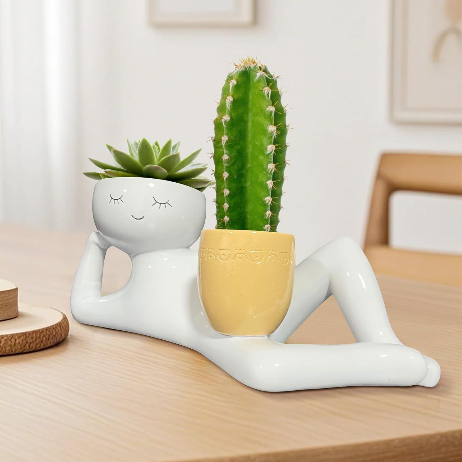 กระถางต้นไม้รูปคนขี้เกียจสุดน่ - Succulent Planter Pot บทวิจารณ์และราคา