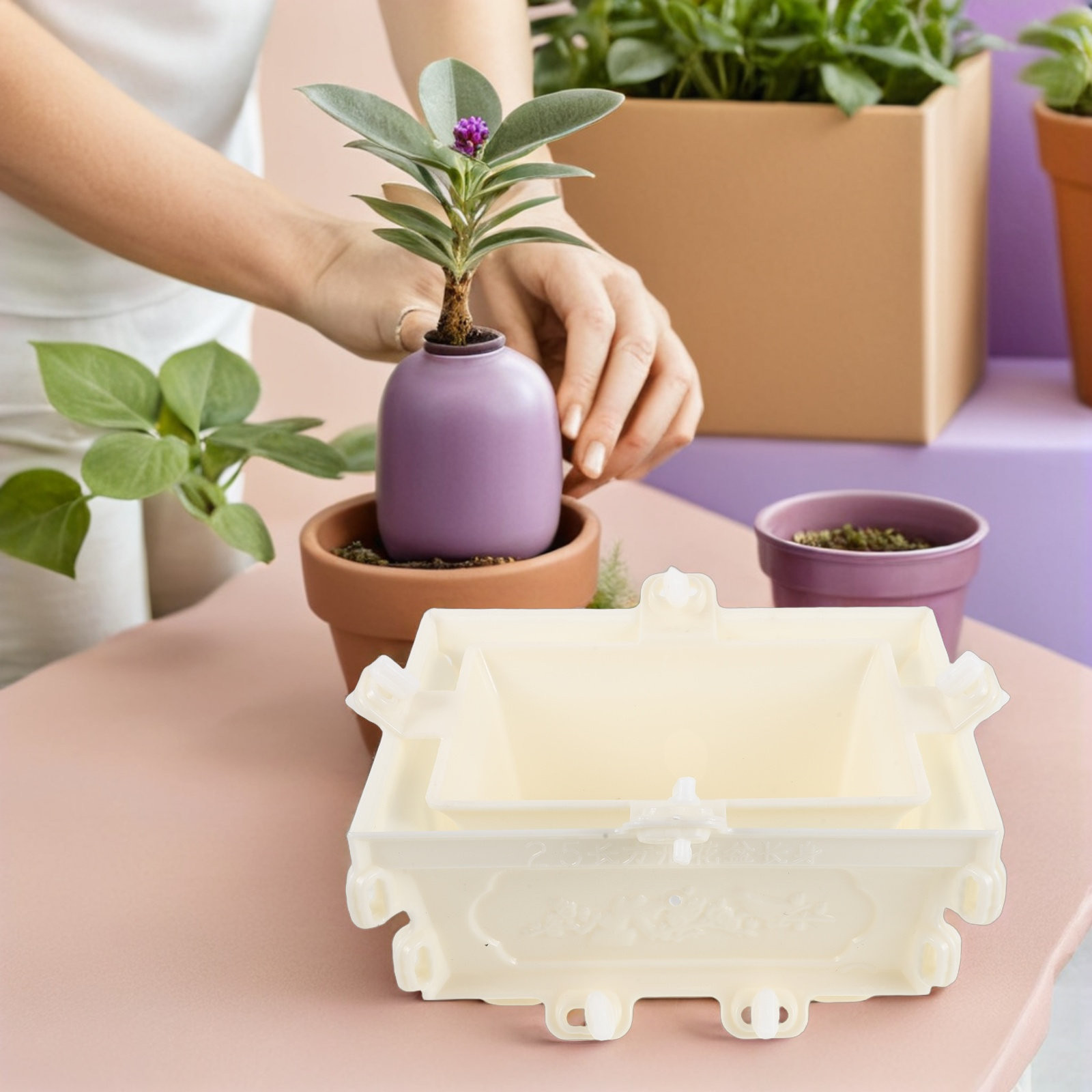 แม่พิมพ์กระถางดอกไม้คอนกรีตพลา - Succulent Planter Pot บทวิจารณ์และราคา