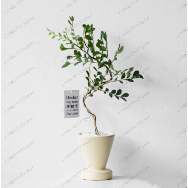 กระถางเซรามิคทรงกรวยแบบมินิมอล - Succulent Planter Pot บทวิจารณ์และราคา
