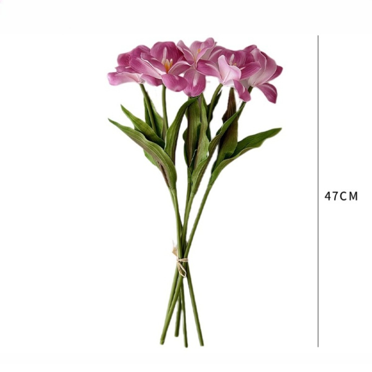 ดอกทิวลิปแบบก้านเดี่ยวขนาด 18. - Home Decor Tulip บทวิจารณ์และราคา