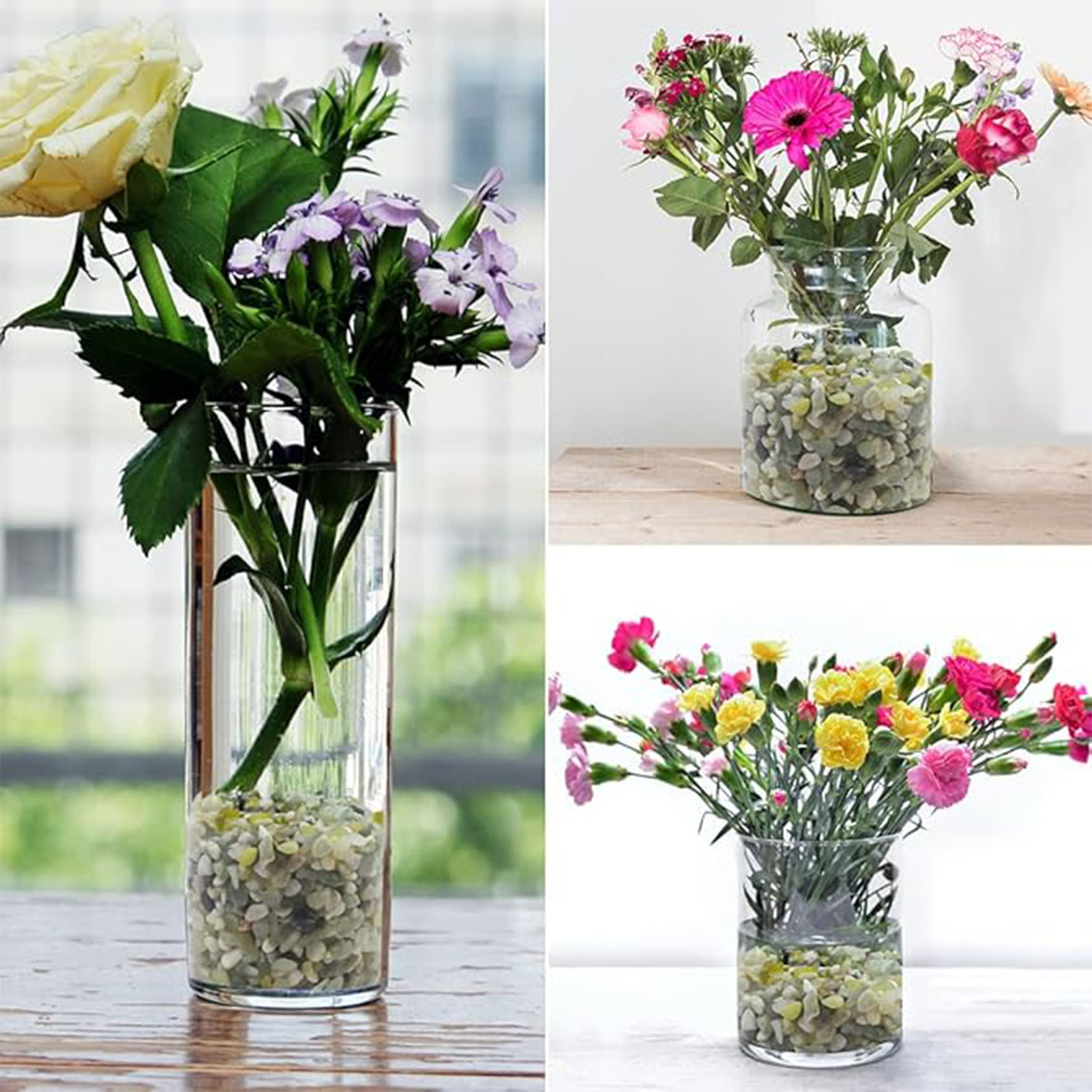 ก้อนกรวดฉ่ําและกระบองเพชร, หยก - Succulent Planter Pot บทวิจารณ์และราคา