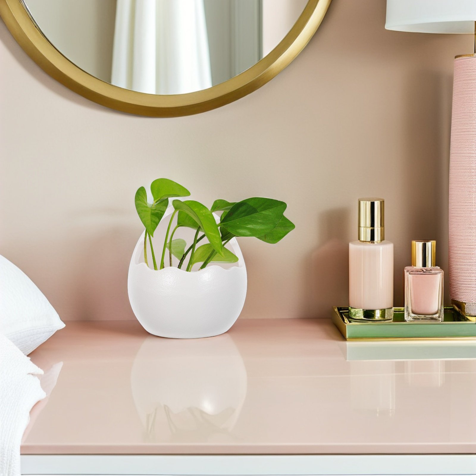 กระถางเซรามิครูปไข่แตกน่ารัก ส - Succulent Planter Pot บทวิจารณ์และราคา