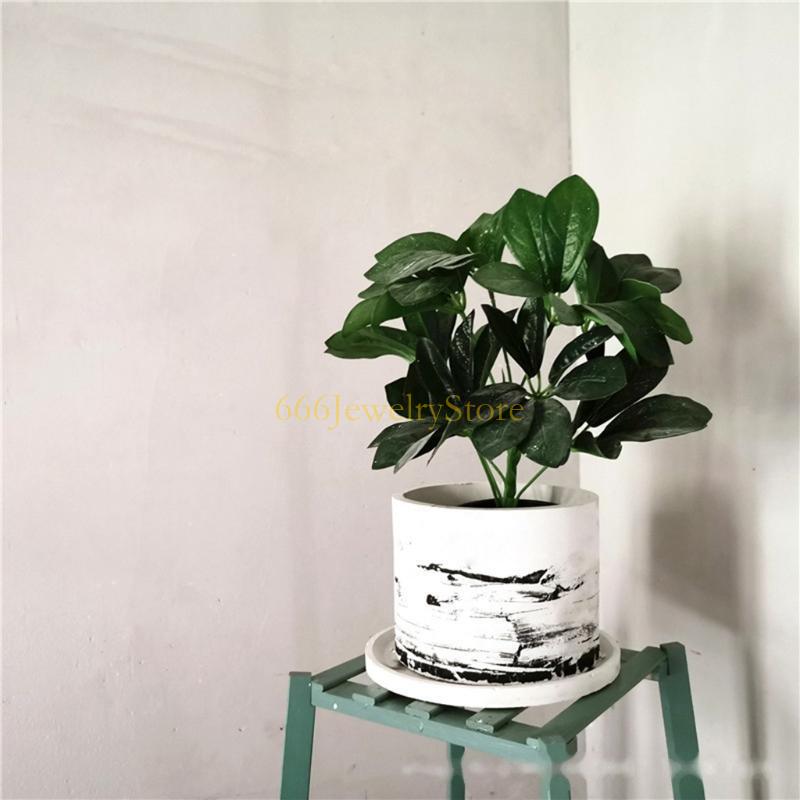 F2TD ขนาดใหญ่กลมฉ่ำพืชหม้อซิลิ - Succulent Planter Pot บทวิจารณ์และราคา