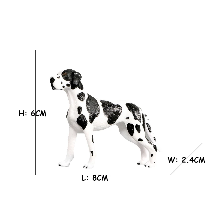 Labrador Poodle Rottweiler Bon - Review Home Decor บทวิจารณ์และราคา