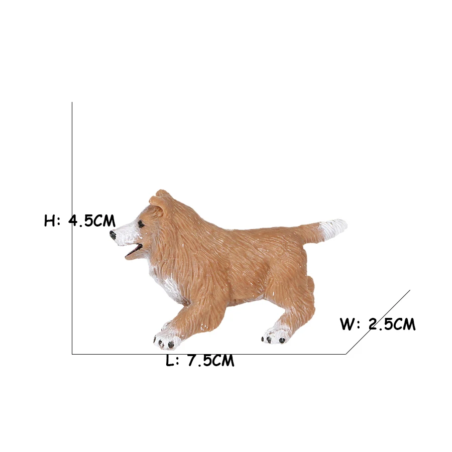 Golden Retriever Corgi Shiba I - Review Home Decor บทวิจารณ์และราคา