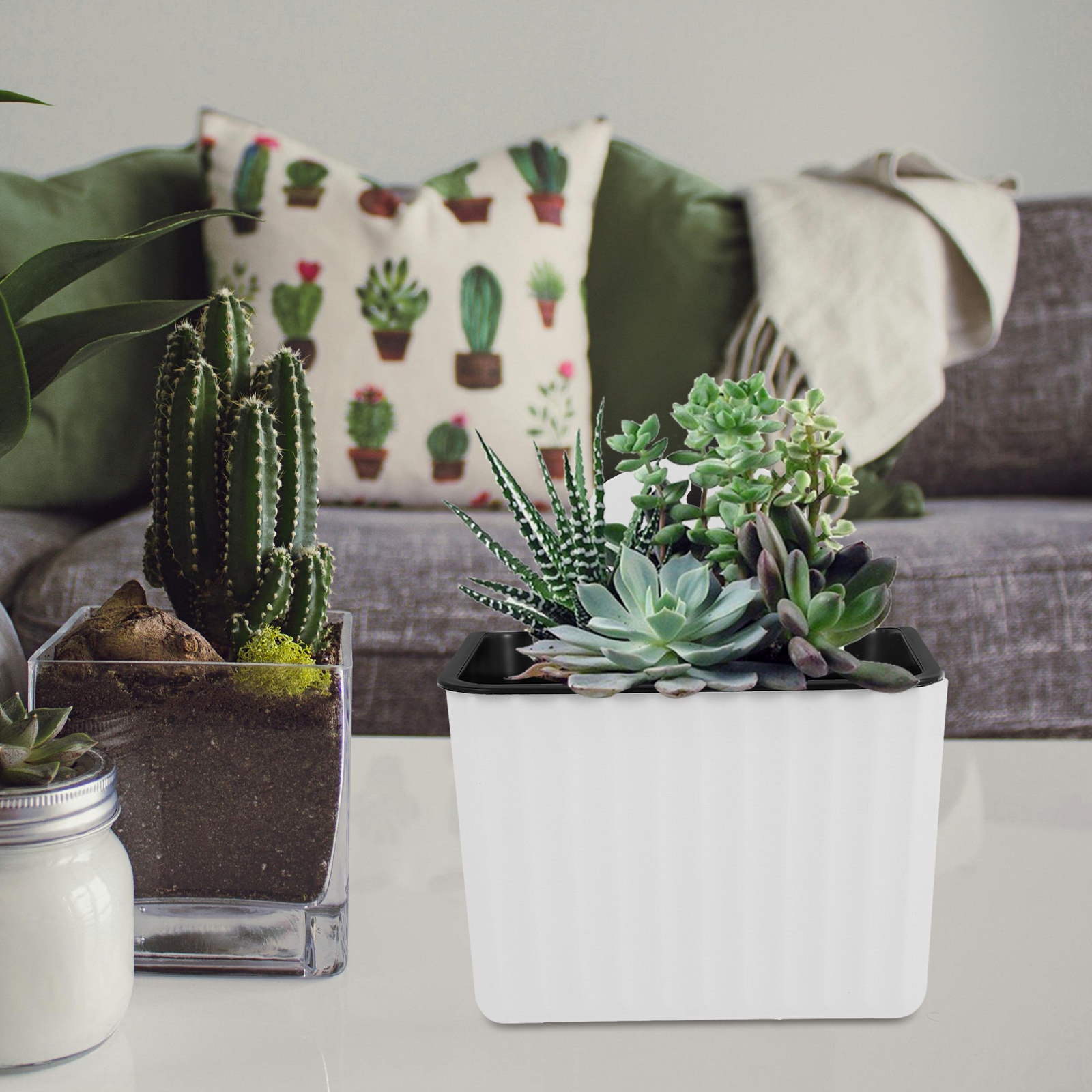 กระถางต้นไม้แบบแขวนติดผนัง 2 ช - Succulent Planter Pot บทวิจารณ์และราคา