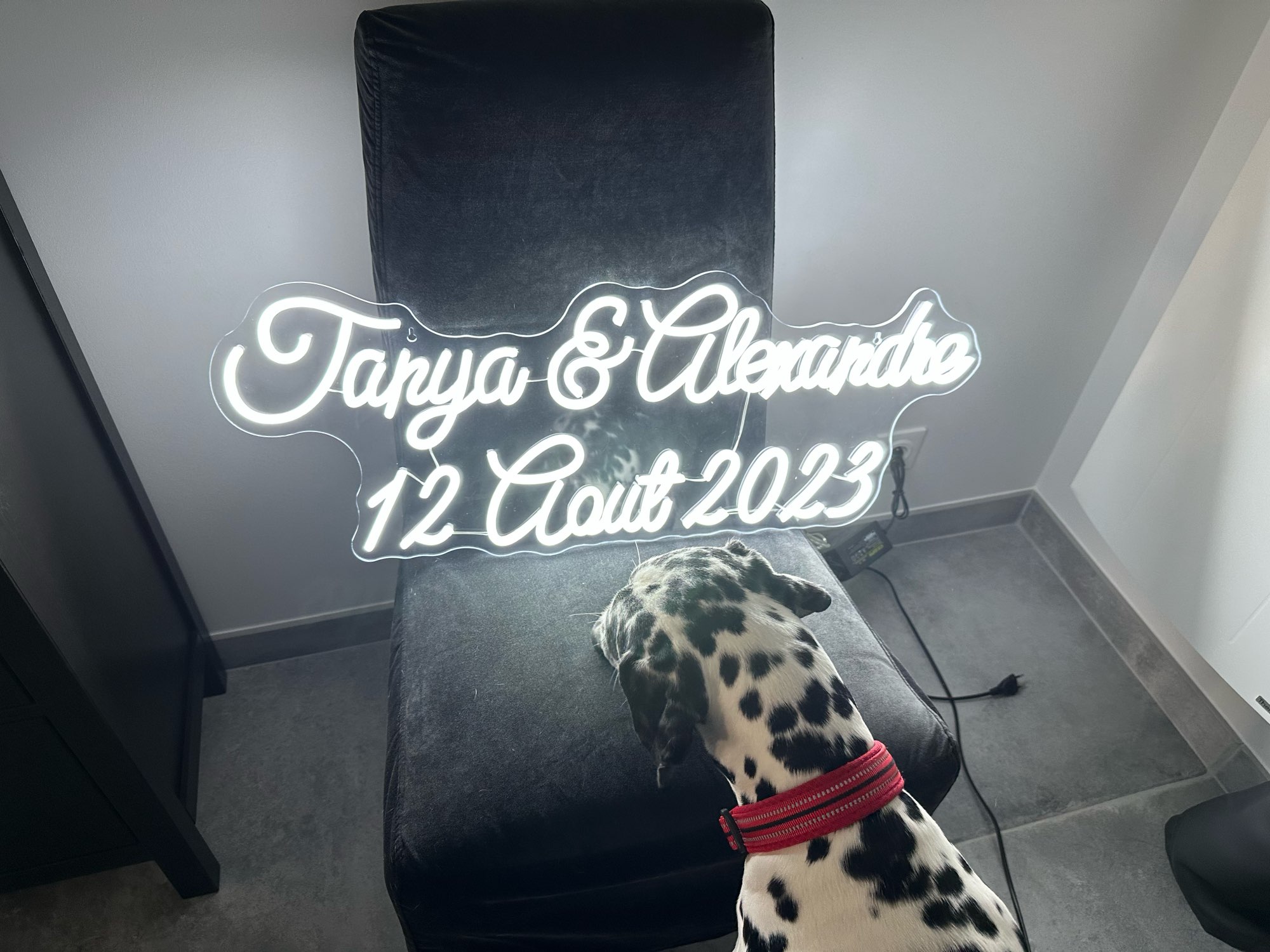 ป้ายไฟนีออน LED ไฟสำหรับบ้านสำ - Home Decor Logo Design บทวิจารณ์และราคา